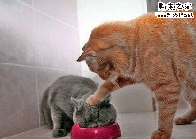 网页制作需要掌握的6种能力小结