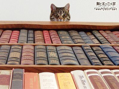 网页制作需要掌握的6种能力小结