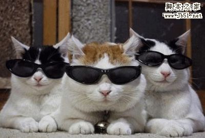 网页制作需要掌握的6种能力小结