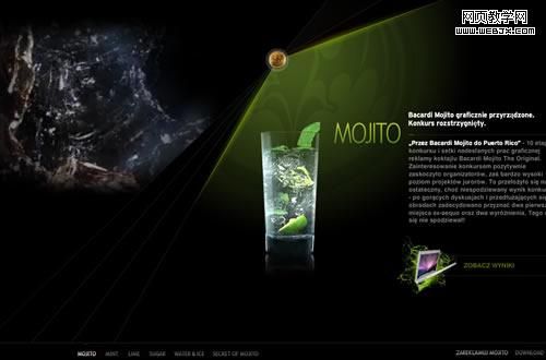 50个漂亮的FLASH网站设计实例