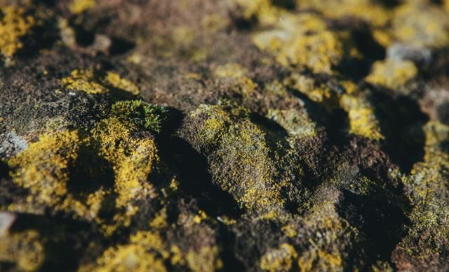 最棒的9个国外免费图片素材网站