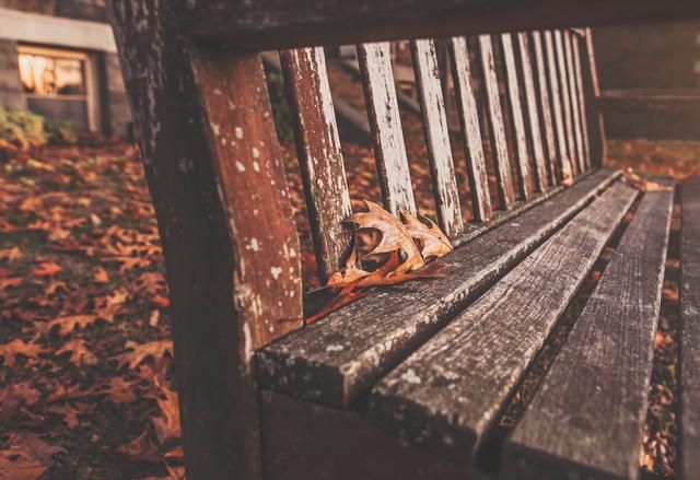 最棒的9个国外免费图片素材网站