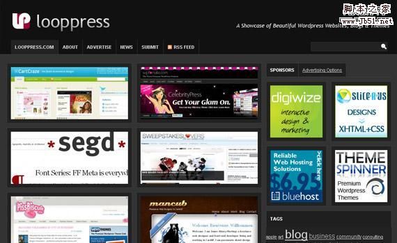 设计参考 WordPress建站成功案例