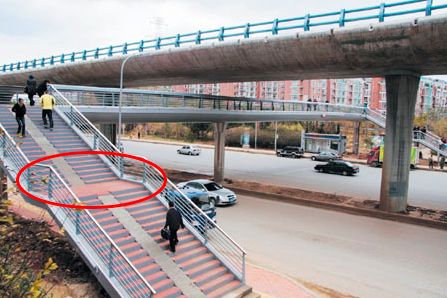 互联网网页设计中的仿生设计的简要介绍