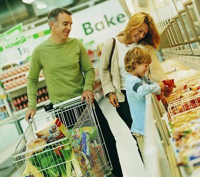 互联网网页设计中的仿生设计的简要介绍