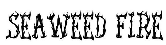 分享16款燃烧的火焰效果英文字体大宝库