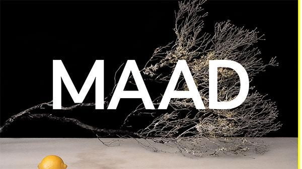 超大字体排版的40个网页设计欣赏