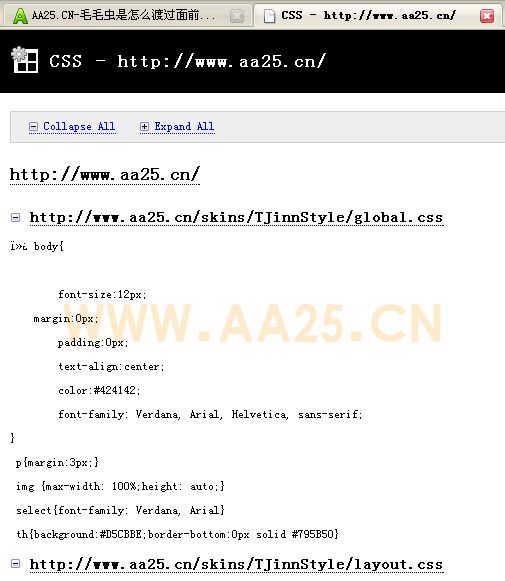 网页设计必备工具 firefox Web Developer插件 CSS工具组教程
