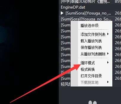 暴风影音怎么设置循环播放 暴风影音循环播放怎么设置