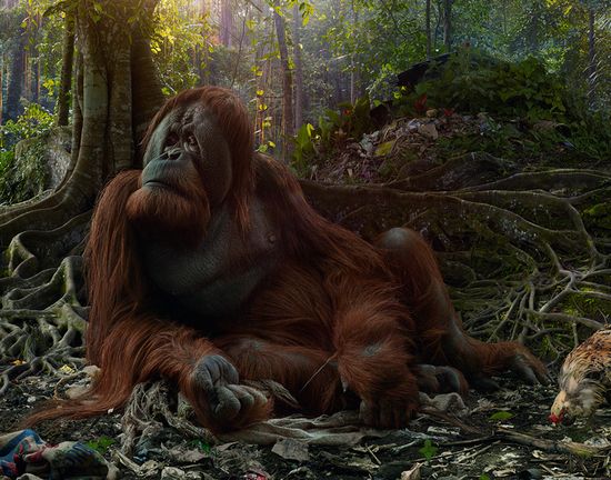 发人深省的数字合成动物王国壁纸