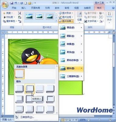 Word2007教程：教你在文档中为图片设置立体棱台效果