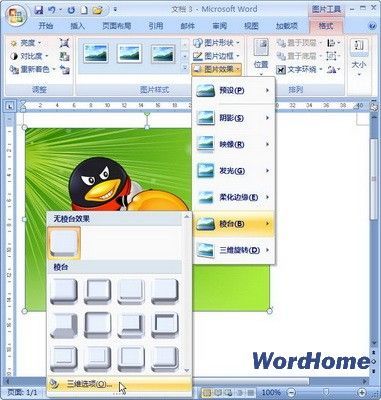 Word2007教程：教你在文档中为图片设置立体棱台效果