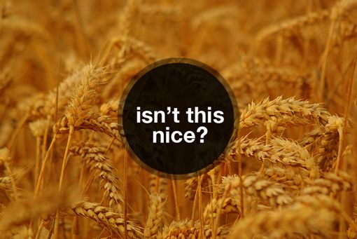 PPT设计宝典！十招教你做出拿得出手的PPT