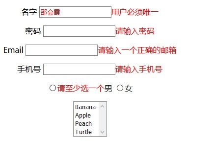 Yii框架中jquery表单验证插件用法示例