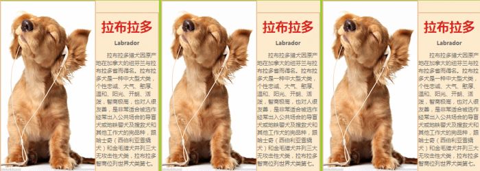 js运动事件函数详解