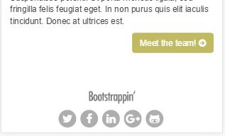 Bootstrap作品展示站点实战项目2