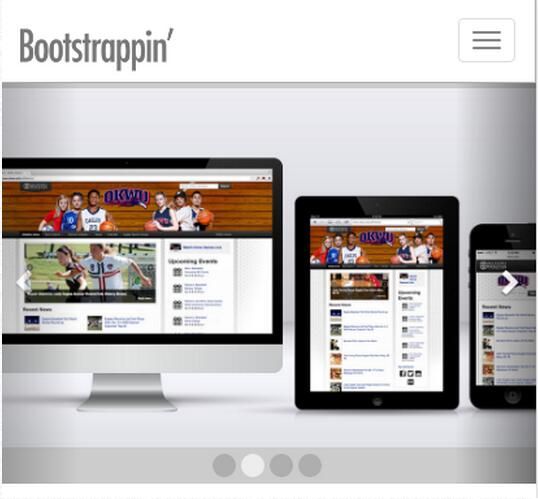 Bootstrap优化站点资源、响应式图片、传送带使用详解3