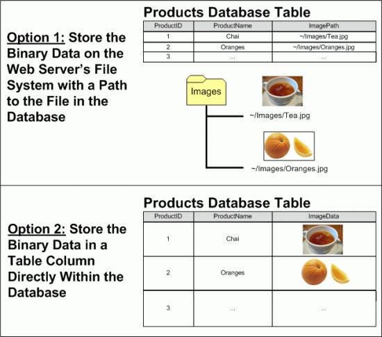 在ASP.NET 2.0中操作数据之五十二：使用FileUpload上传文件