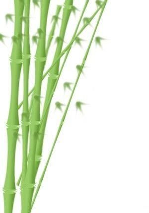 ps制作翠绿的竹子效果图