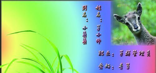 用PS制作属于自己的个性名片