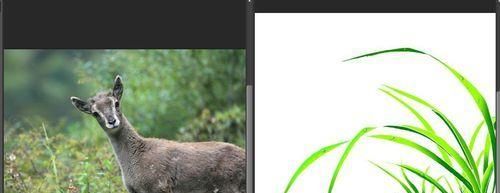 用PS制作属于自己的个性名片