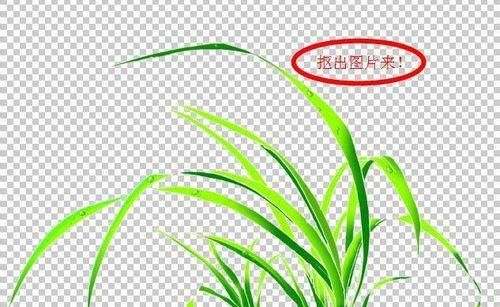 用PS制作属于自己的个性名片