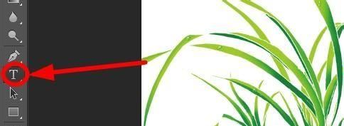 用PS制作属于自己的个性名片