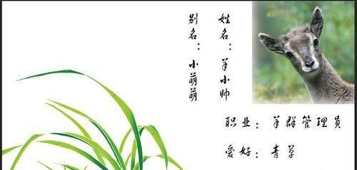 用PS制作属于自己的个性名片