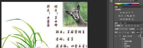 用PS制作属于自己的个性名片