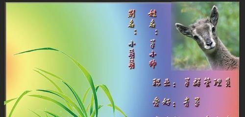 用PS制作属于自己的个性名片