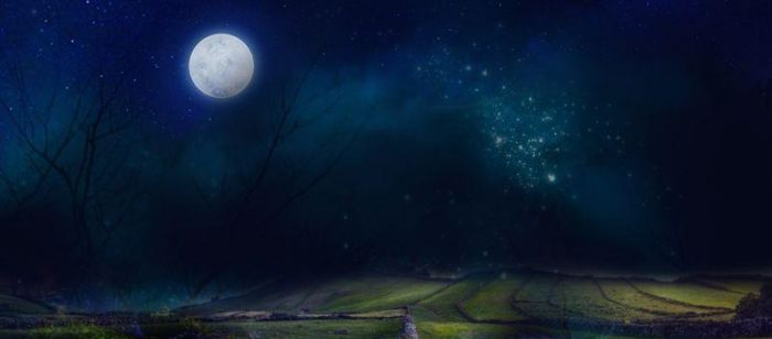 Photoshop制作圣诞节主题风格的橘子电商宣传海报