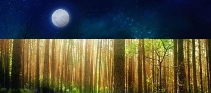 Photoshop制作圣诞节主题风格的橘子电商宣传海报