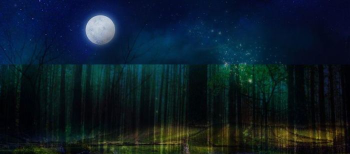 Photoshop制作圣诞节主题风格的橘子电商宣传海报