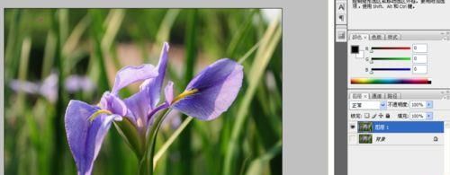 PS滤镜和图层样式制作木纹边框