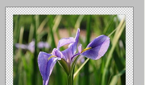 PS滤镜和图层样式制作木纹边框