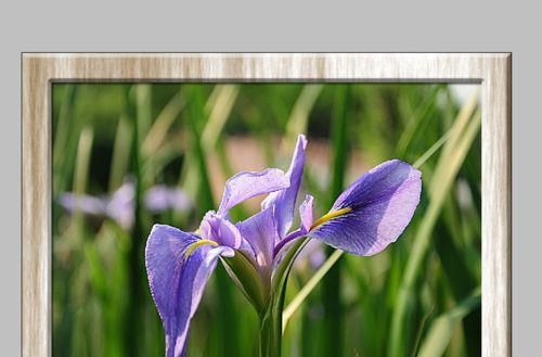 PS滤镜和图层样式制作木纹边框