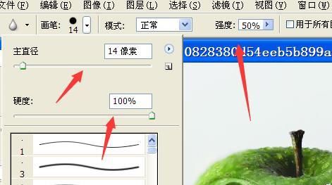 ps中模糊工具怎么使用? ps使用模糊工具处理图片的教程