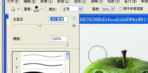 ps中模糊工具怎么使用? ps使用模糊工具处理图片的教程