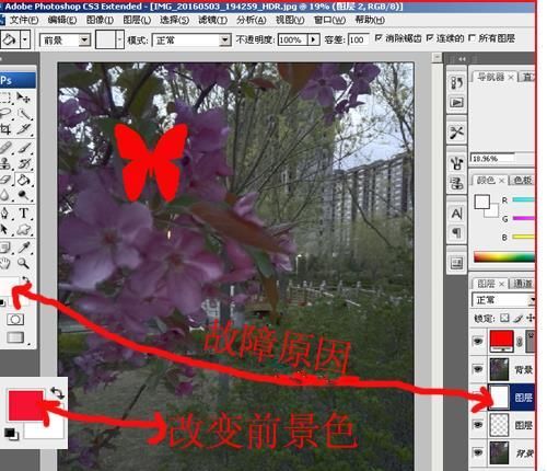 PS油漆桶不能用了怎么办? 解决ps油漆桶不能使用的七种方法