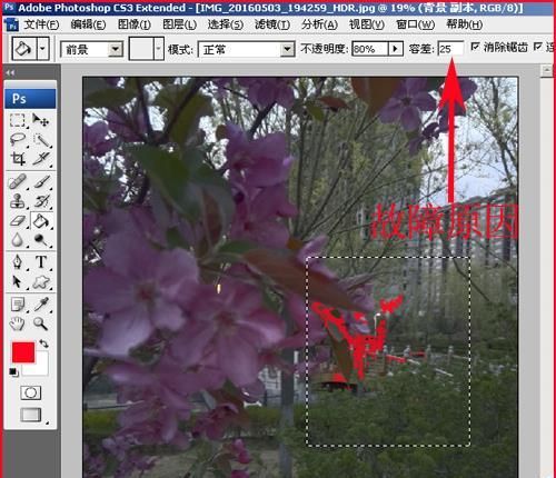 PS油漆桶不能用了怎么办? 解决ps油漆桶不能使用的七种方法