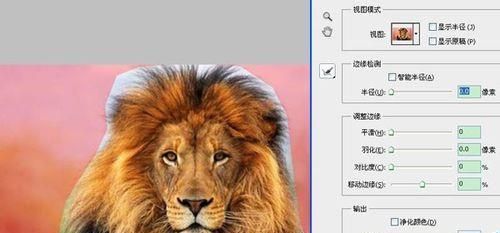 ps cs5抽出滤镜在哪? ps抽出滤镜的使用教程