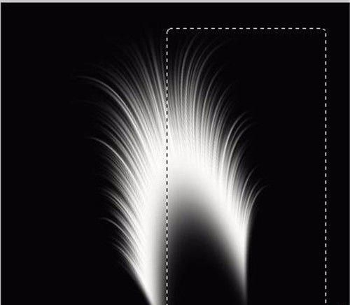 ps中的滤镜功能绘制羽毛