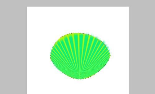 ps简单制作漂亮的绿色贝壳