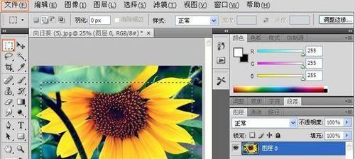 ps简单制作磨砂玻璃效果