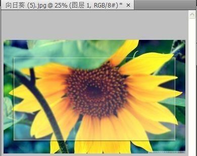 ps简单制作磨砂玻璃效果