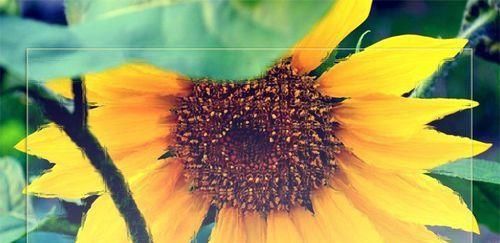 ps简单制作磨砂玻璃效果