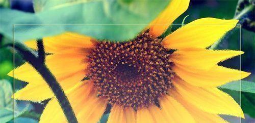 ps简单制作磨砂玻璃效果