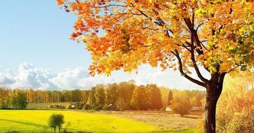 PS将一副美丽的风景放入空瓶子中