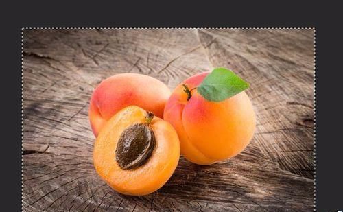 PS全选功能该怎么使用? PS全选对象的详细教程