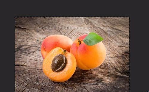 PS全选功能该怎么使用? PS全选对象的详细教程